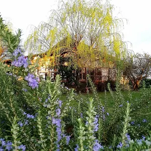 Podere Piandarca Casa vacanze
